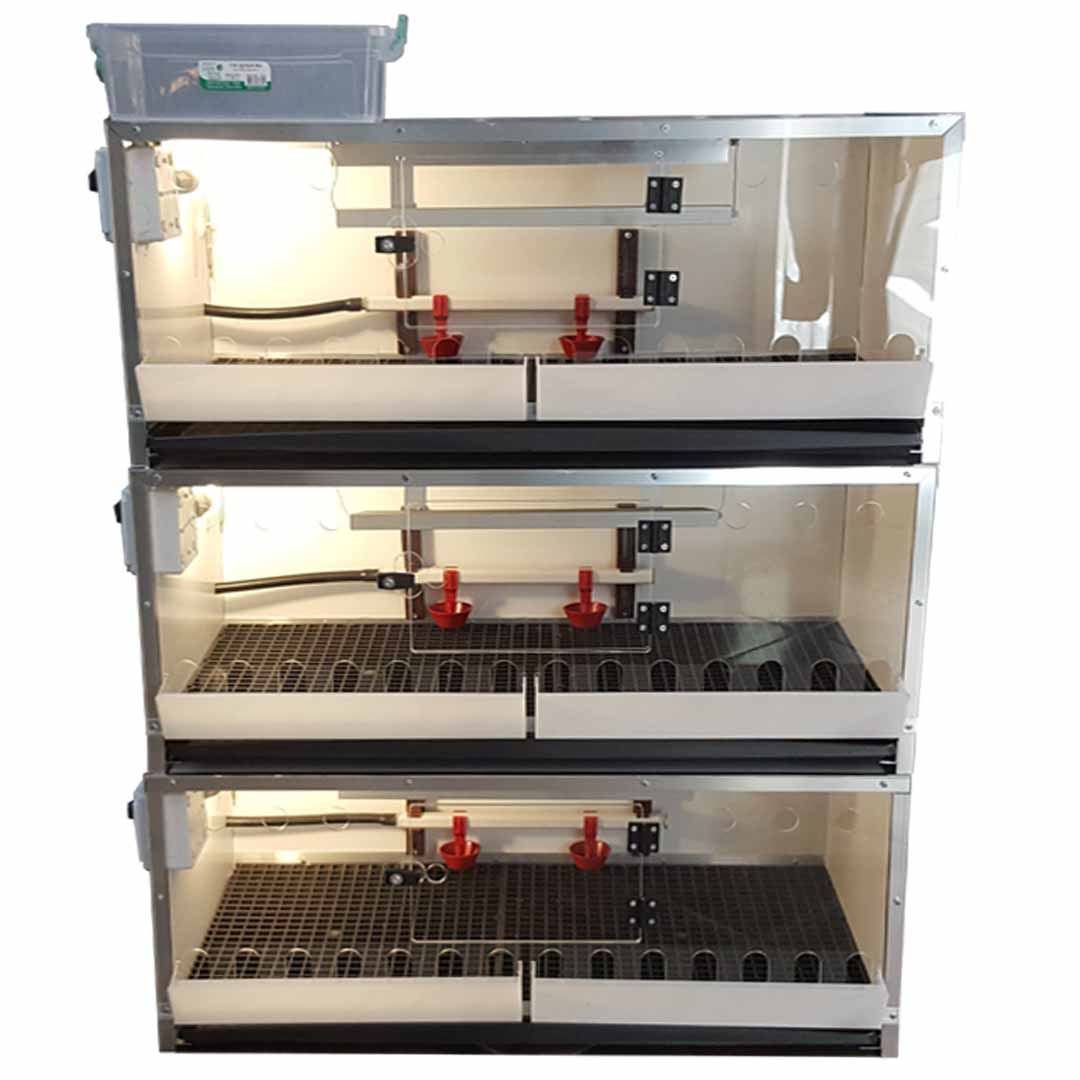 incubator1